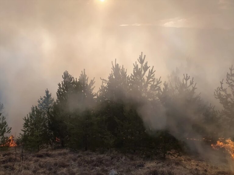 Kastamonu’da ormanlık alanda çıkan yangın denetim altına alındı